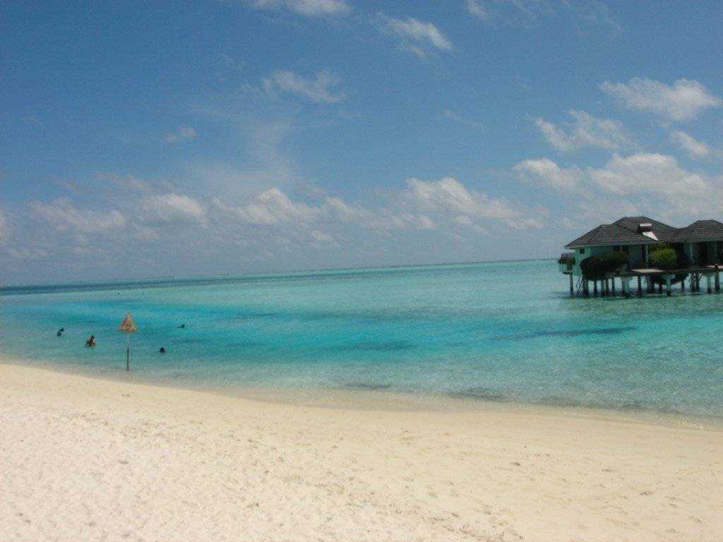 the pristine white beach @ Maldives